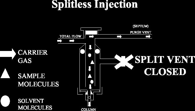 Splitless mode - All sample to column.