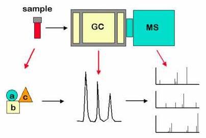 Mass Spectrometry (GC-MS) - Synergistic combination of two powerful analytic techniques. - The gas chromatography separates the components of a mixture in time.