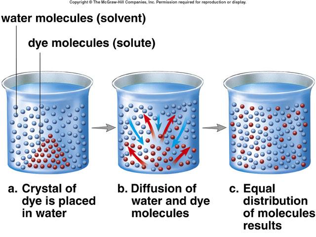 Diffusion Molecules by random motion will move from an area of higher concentration to an area of lower concentration Passive process requires no expenditure of energy Osmosis Specifically the