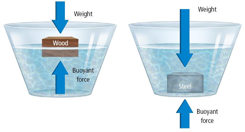 2 Properties of Fluids Density An object will float if its
