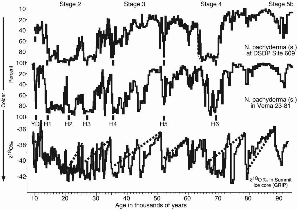 Another view of climate variability during the last glacial cycle and Heinrich Events. The top two panels give the abundance of N. Pachyderma from two North Atlantic ocean cores (DSDP 609, approx.