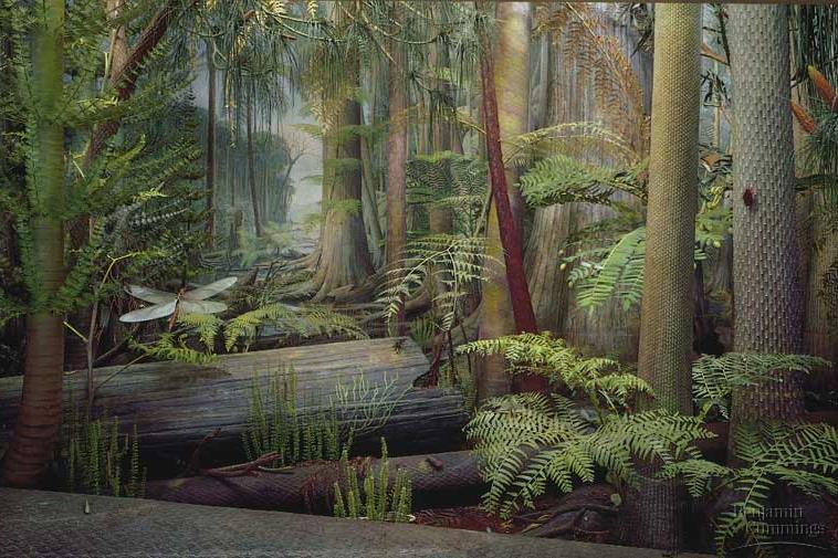 it! Carboniferous forest 290-350 mya Regents Forests