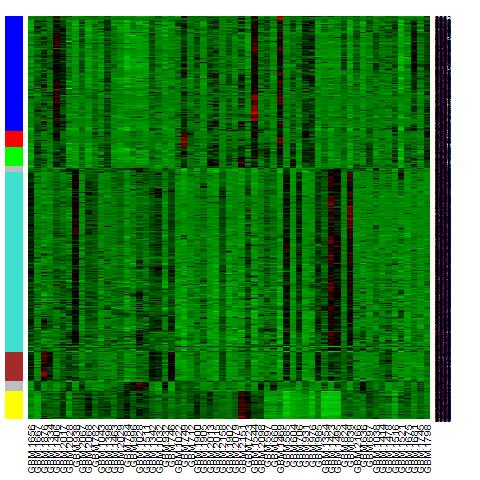 Heatmap view of module Columns= tissue samples Rows=Genes Color band indicates module