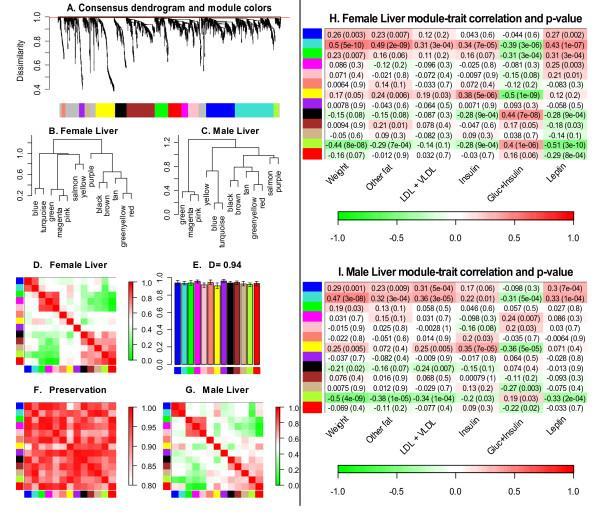 Consensus eigengene networks in male and female mouse liver data and their relationship to physiological traits Langfelder