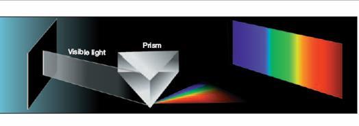 Learning from Light What is white light? What is a prism? Is there light we can t see?