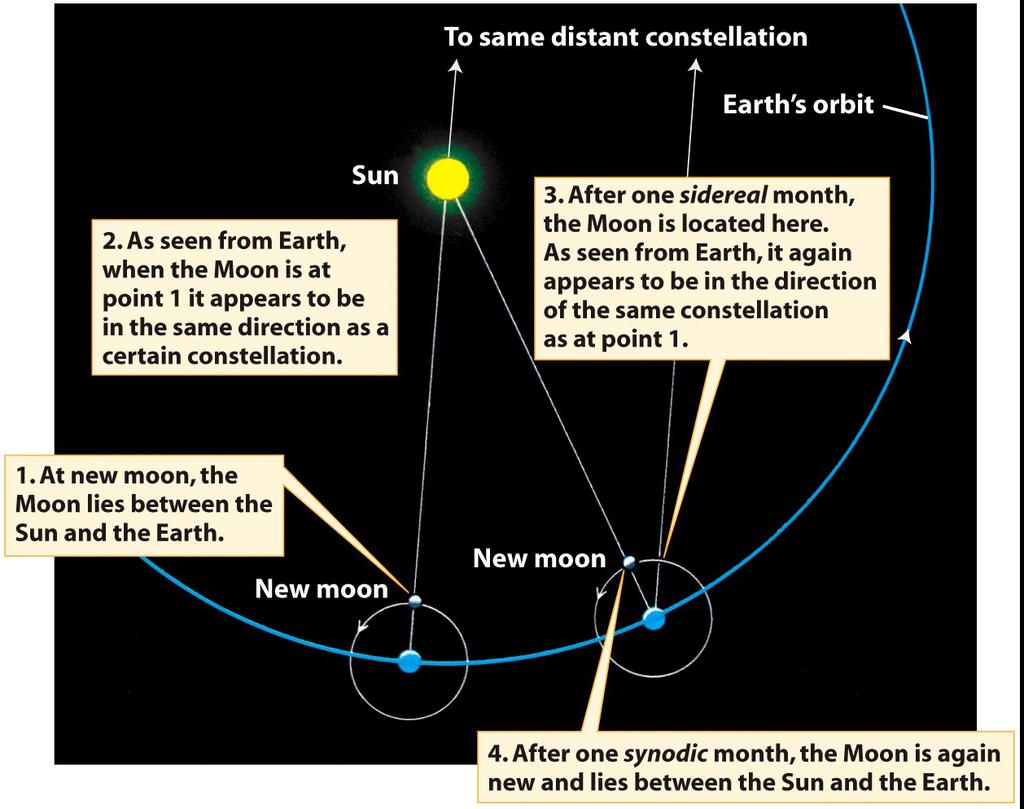 0.3 The Motion of the Moon For those super nerdy: the Moon s sidereal and synodic months are analogous to
