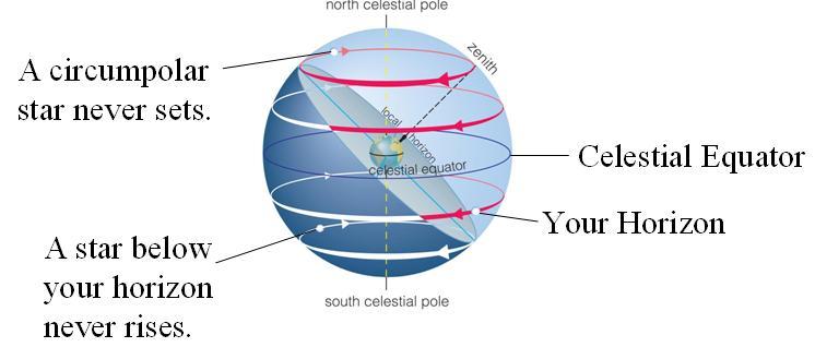 Our view from Earth: Stars near the north celestial pole are circumpolar and never set.