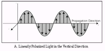 /3/7 Linear polarization state For light