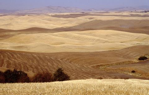 Temperate Grasslands Temperate grasslands or prairies occur in mid latitudes, in