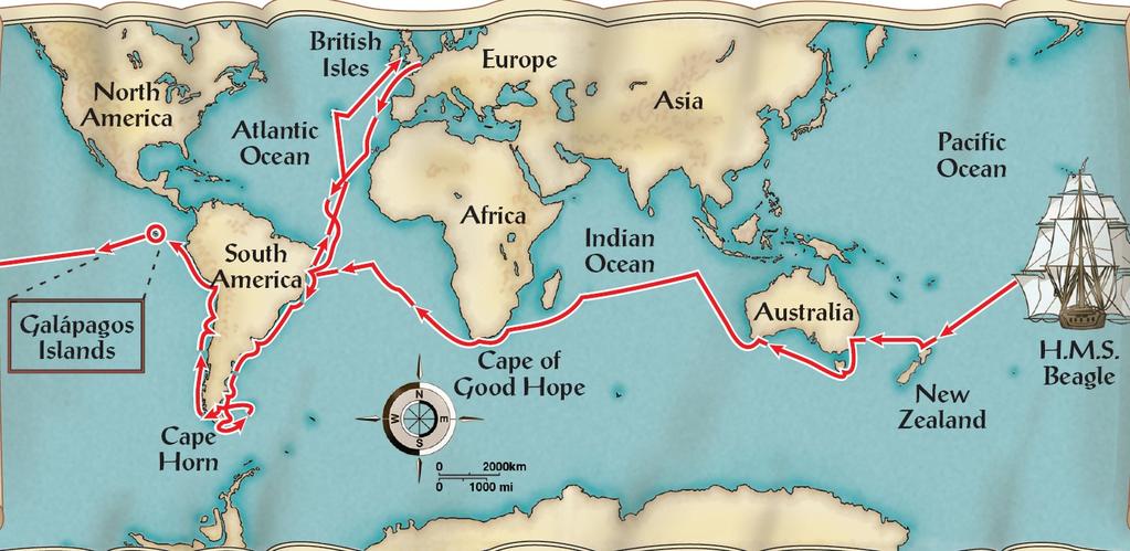 Voyage of the HMS Beagle (1831) Study this map... Identify the significance of the HMS Beagle to our study of evolution, How long was the voyage? What was the primary mission?