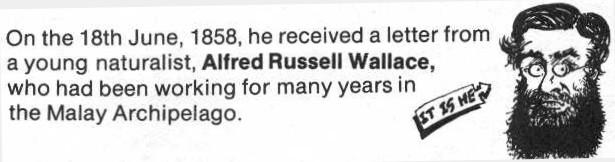 What did he receive from Alfred Russell