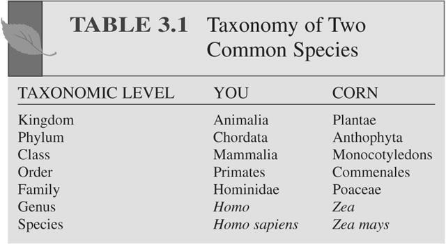Taxonomy of two common species Reduction of