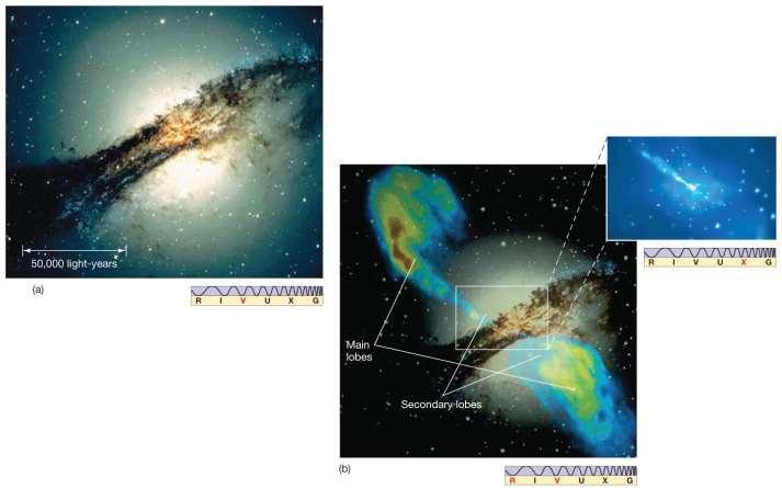 24.4 Active Galactic Nuclei Radio galaxies emit very strongly in the radio portion of the spectrum.