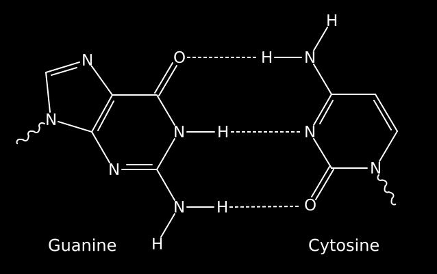 Types of Chemical Bonding Hydrogen