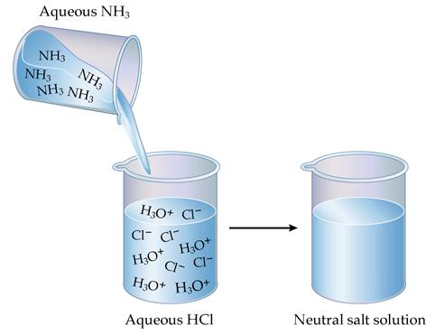 Ca(OH) 2 (aq) Ca 2+ (aq) + 2OH - (aq) Arrhenius acids react with Arrhenius bases to form neutral salt solutions