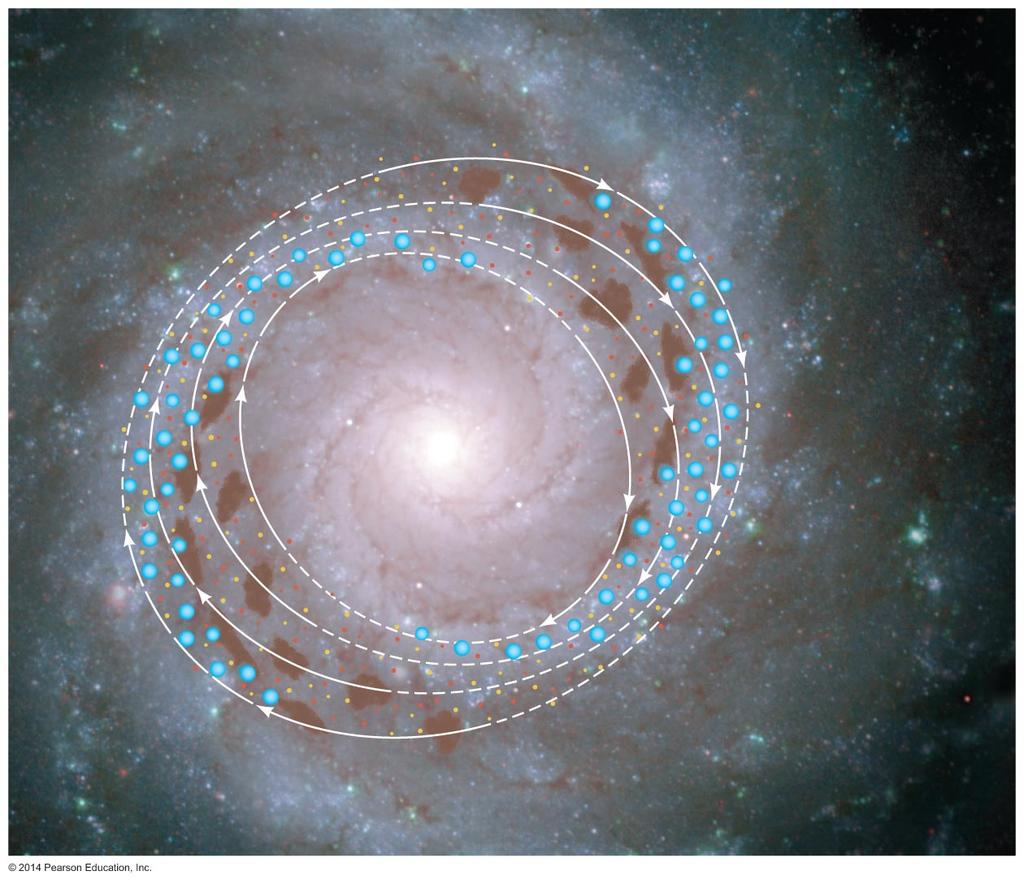 Spiral arms are waves of star formation. 1. Gas clouds get squeezed as they move into spiral arms. 2. Squeezing of clouds triggers star formation. 3. Young stars flow out of spiral arms.