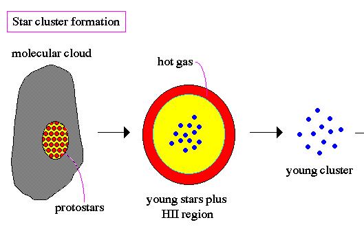 Fragmentation Individual stars form out collapsing gas Individual