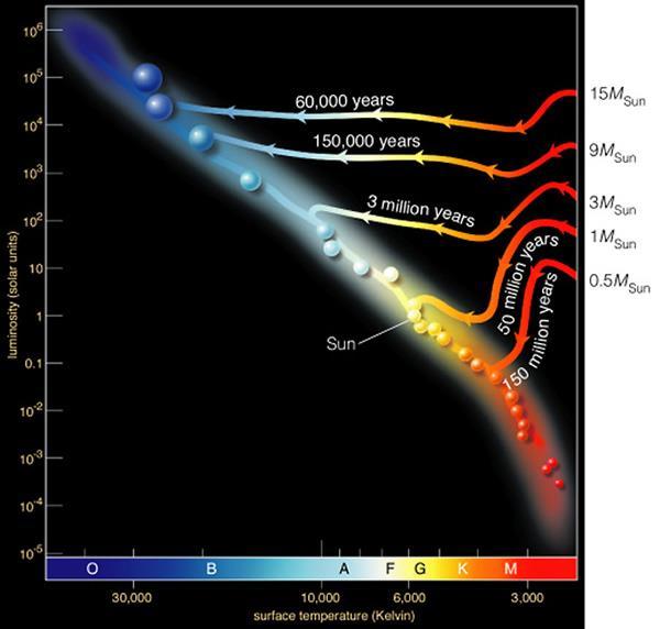 Main Sequence When a protostar reaches fusion it becomes: Main sequence star Pre-Main Sequence Luminosity vs