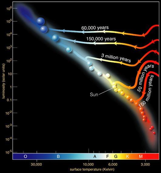 Rate of Fusion Luminosity vs Temp: Hertzsprung-Russell diagram HR diagram More massive stars: High rate of fusion Greater flux Shorter lifetime Less