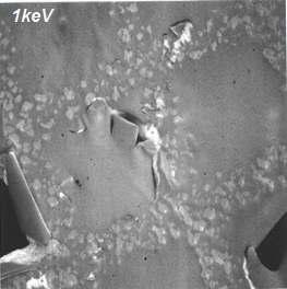 Uncoated nonconductive samples are challenging in a traditional SEM due to charge buildup that distorts the images or prevents any imaging at all.