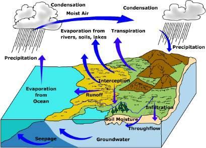 http://www.uwsp.edu/geo/faculty/ritter/geog101/textbook/hydrosphere/hydrologic_cycle.html The Water Cycle A Review! a.
