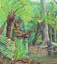 Plants of the Paleozoic Era The first plants developed in the ocean from green algae. During the Ordovician period, plants spread onto land.