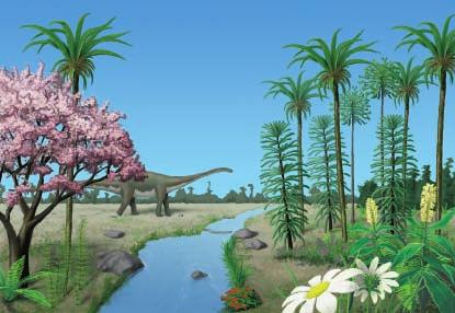Plants of the Mesozoic Era Plants called gymnosperms dominated the plant population of the Mesozoic era. Gymnosperms produce seeds but no flowers.