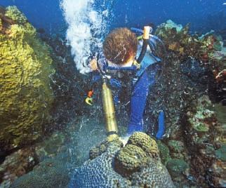 Climate Change There is evidence that some mass extinctions were caused by relatively sudden changes in climate. Figure 3 shows a diver collecting climatic evidence.