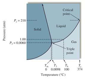 Phase Diagrams Show which states exist for a closed system as a function of temperature and pressure supercritical fluid region The Phase Diagram of Water T m = normal melting point (0 C, 1 atm) T b