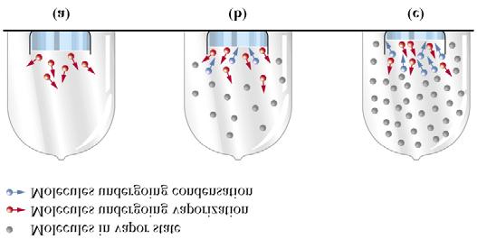 Vaporization of Liquids Molecules can escape from the liquid into the vapour Gas phase molecules can condense into the liquid An equilibrium is set up between evaporation and condensation.