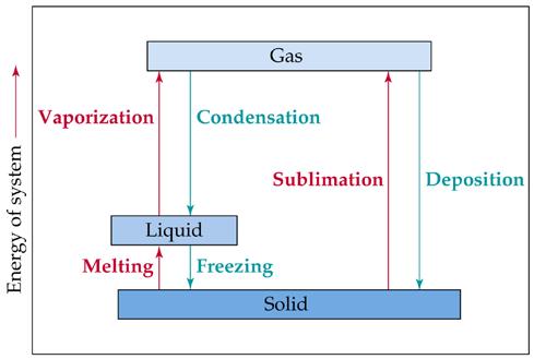 11.4 Phase Changes Phase changes are changes of state. Sublimation: solid gas. Melting or fusion: solid liquid. Vaporization: liquid gas. Deposition: gas solid. Condensation: gas liquid.