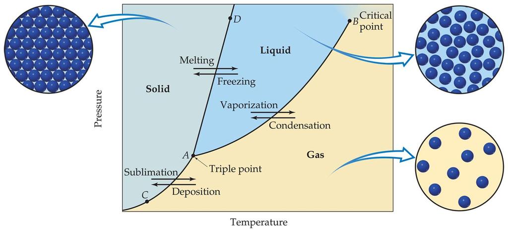 Along the AC line the solid and gas phases are