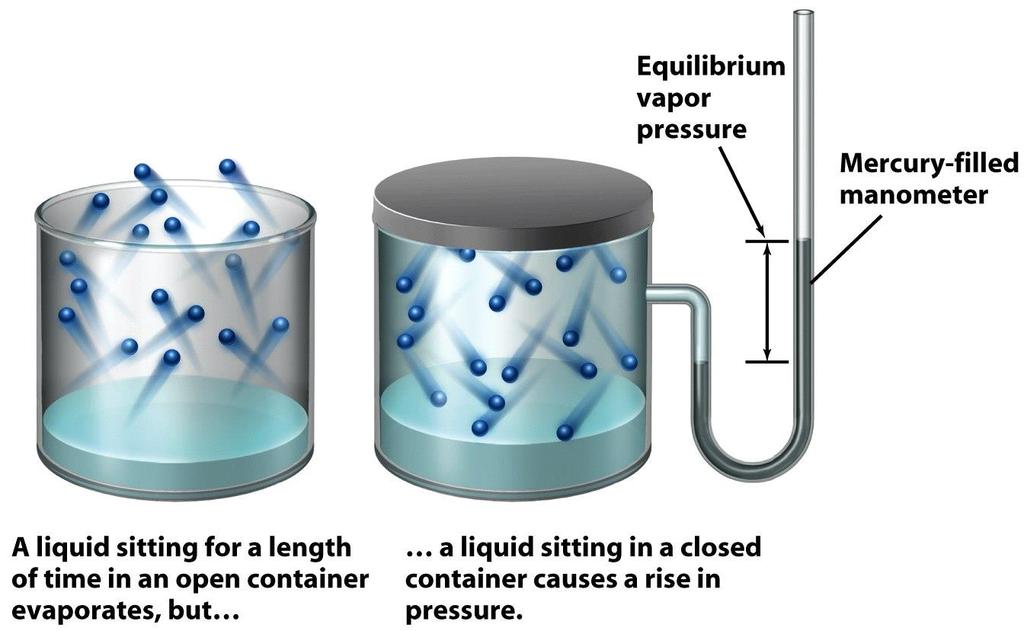 Dynamic Equilibrium a system in dynamic equilibrium can respond to changes in the conditions when