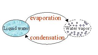 Water vapor