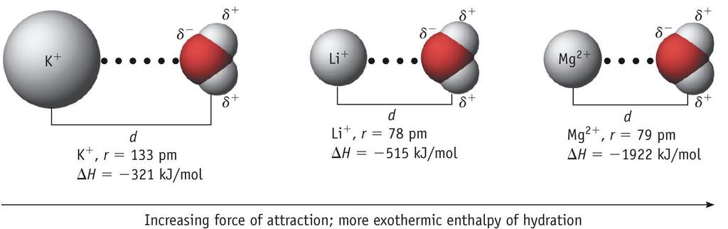 Enthalpies of Hydration: A Measure of Ion-Dipole Forces As the size of the ion