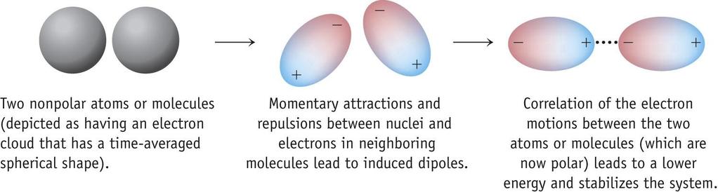 Forces Involving Induced Dipoles Formation of a dipole