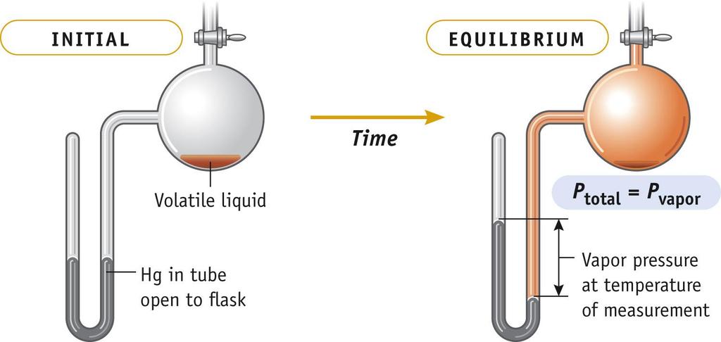 Measuring Equilibrium Vapor Pressure Liquid in