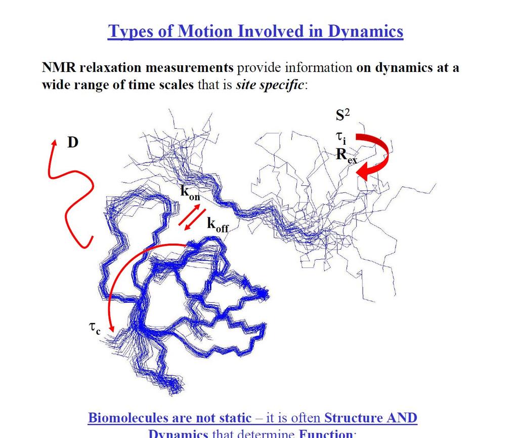 Protein dynamics from NMR