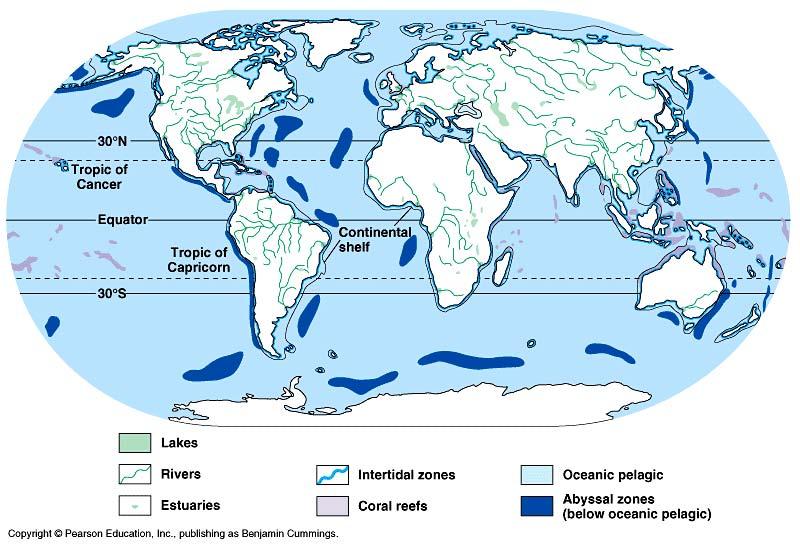 Aquatic biomes Ecology Scientific study
