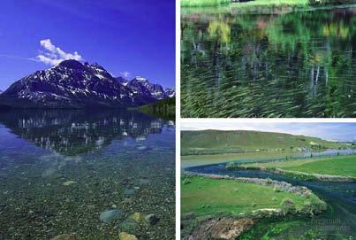 Fresh water Lakes Oligotrophic nutrient poor