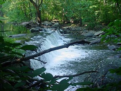 Freshwater Ecosystem Freshwater