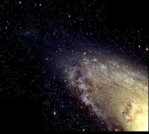 The Massive Star Content of M31 Phil Massey