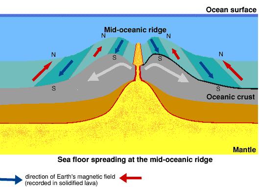 The Plate Tectonics Mechanism Collectively,