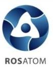 Rosatom overview Nuclear Icebreakers Nuclear and Radiation Safety Applied and basic science Nuclear energy complex Nuclear Weapons Complex Civil Nuclear Applications Radiation Technologies Program