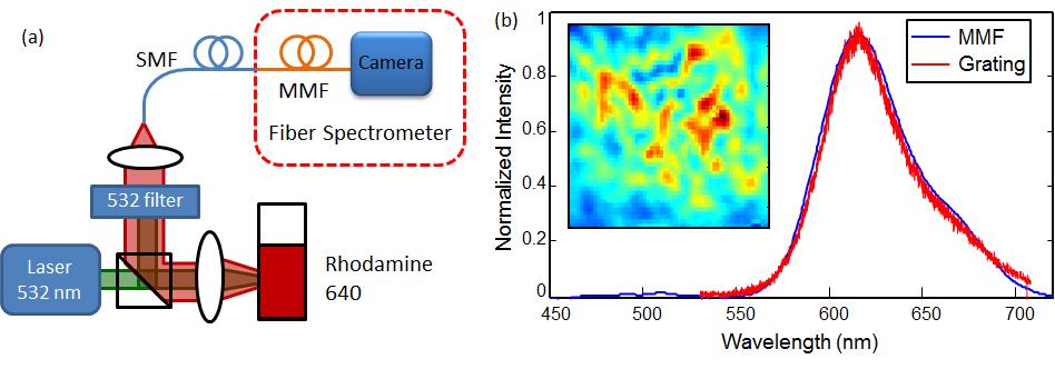 After calibration we used the 4 cm fiber spectrometer to measure the spectra of photoluminescence from Rhodamine 640 dye solution in a cuvette. Figure 6(a) is a schematic of the experimental setup.