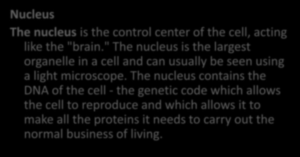" The nucleus is the largest organelle in a cell and can usually
