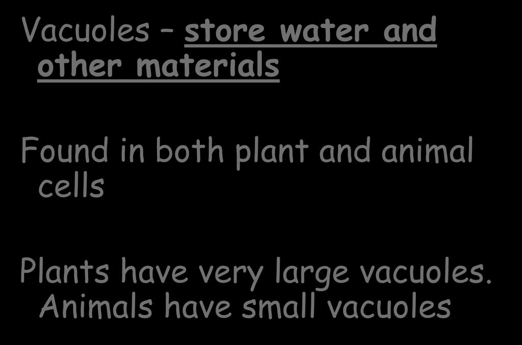 and animal cells Plants have very
