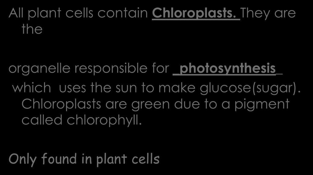CHLOROPLASTS All plant cells contain Chloroplasts.