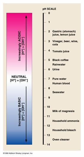 ph Scale ph Scale: Based on the concentration of H + (1-14) ph of acid <7 ph of base