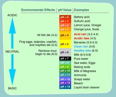 Acids and Bases Water can be broken down into acids and bases Acids- 1) high concentration of